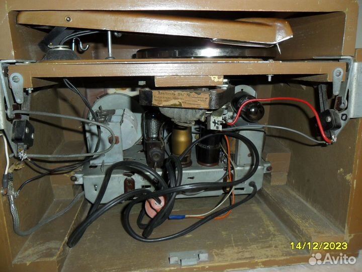 Радиола кама