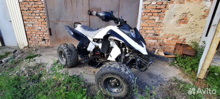 Рысь 125
