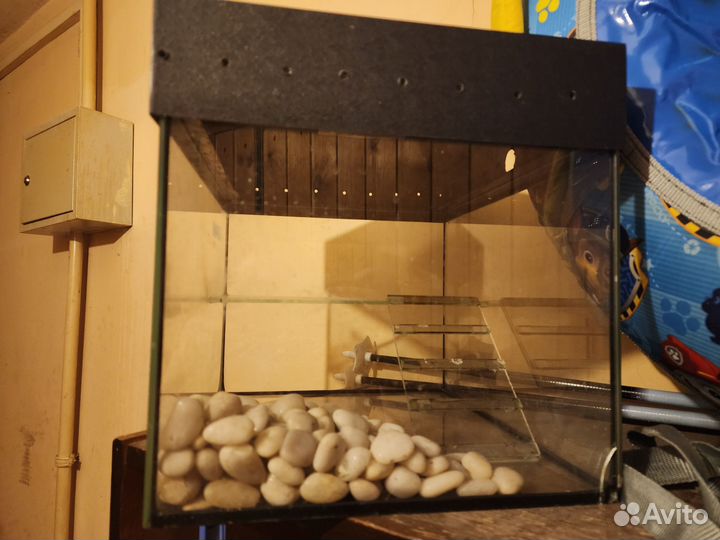 Террариум для черепахи