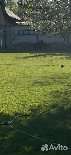 Покос травы, уход за газоном, благоустроиство