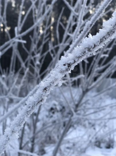 Участок 10 сот. (СНТ, ДНП)