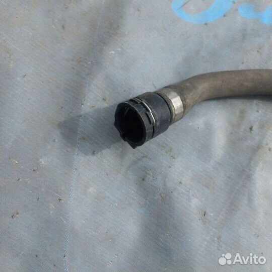 Патрубок радиатора Man Tgx 18.440 дизель 2016