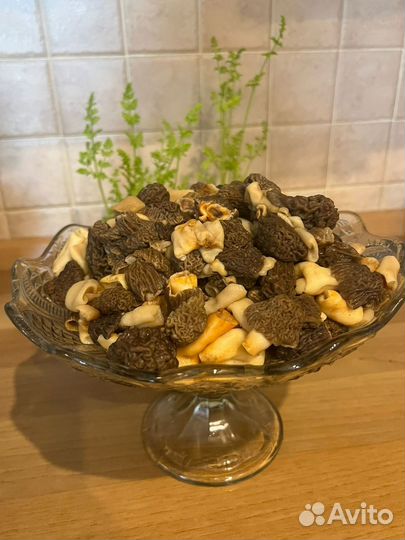 Сморчки новый урожай