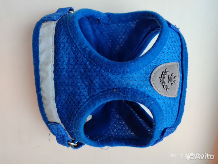 Шлейка с поводком и зимняя курточка для собаки