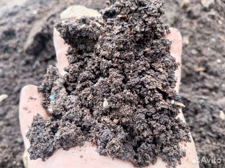 Навоз перегной коровий конский чернозем лесной