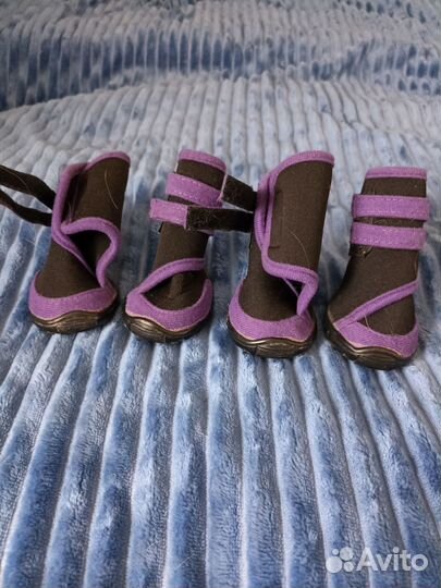 Ботинки для собак демисезонные