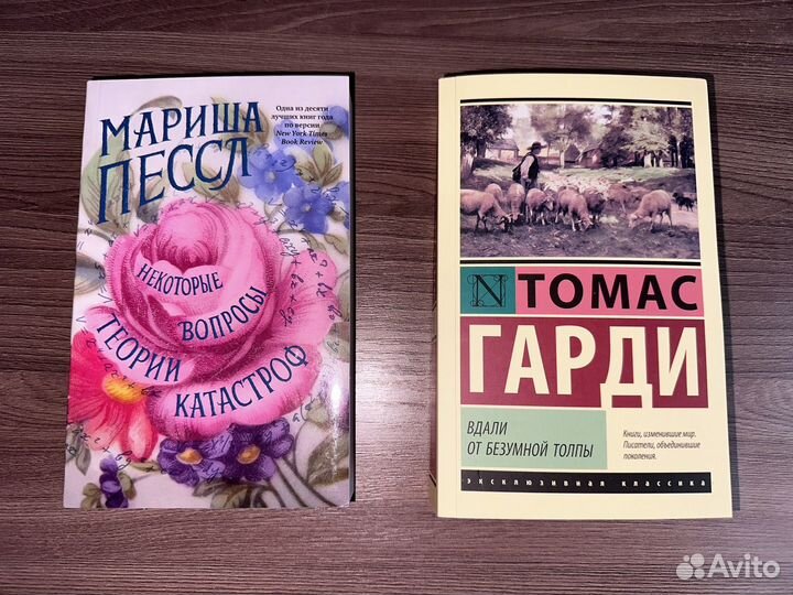 Классика и современная проза (наличие в описании)