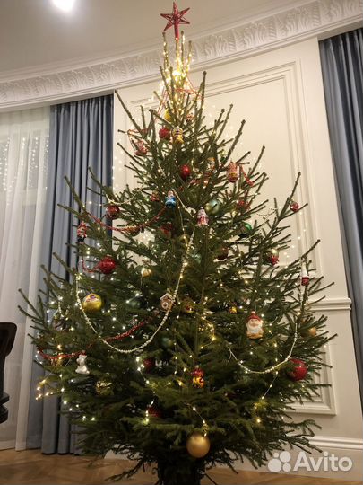 Оформление витрин и домов к новому году