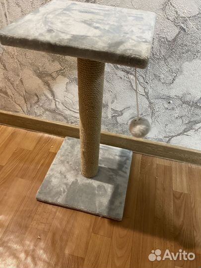 Когтеточка для кошек