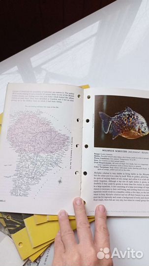 Брошюры, Exotic tropical fist, 1963г-72г