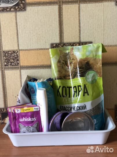 Набор для котенка