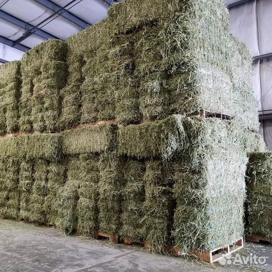 Вкусное сено