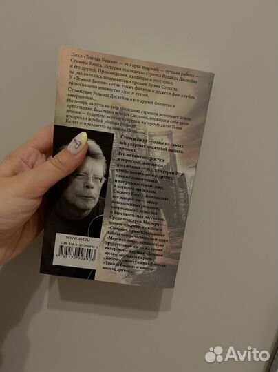 Стивен Кинг. Цикл Темная Башня. Песнь Сюзанны