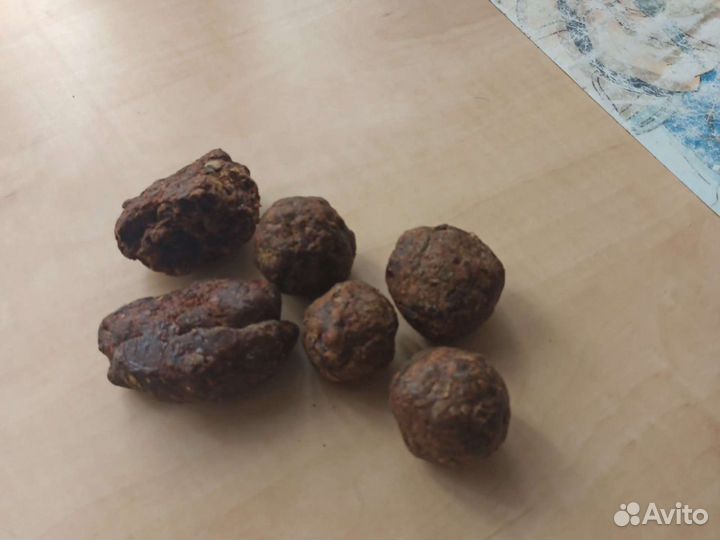 Перга пчелиная