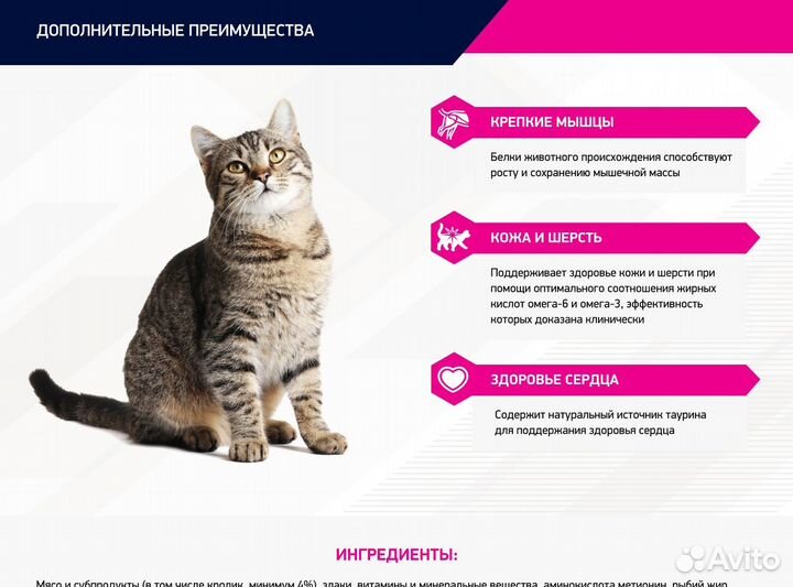 Пауч Eukanuba для кошек, с кроликом в соусе