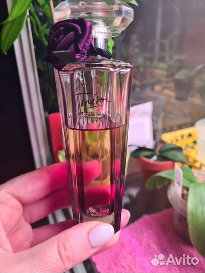 Lancome tresor midnight rose