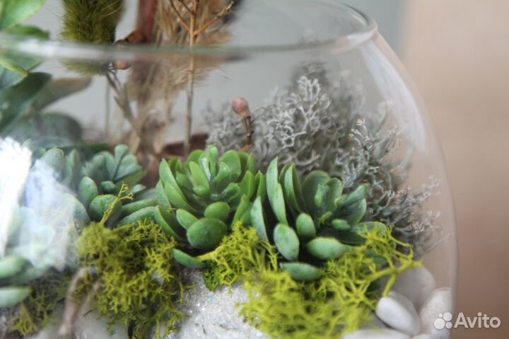 Флорариум Шар с озером