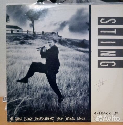 Sting, Bruce Springsteen, Meat Loaf