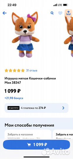 Кошечки собачки Мия