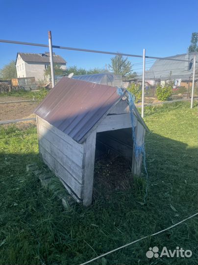 Будка для собаки