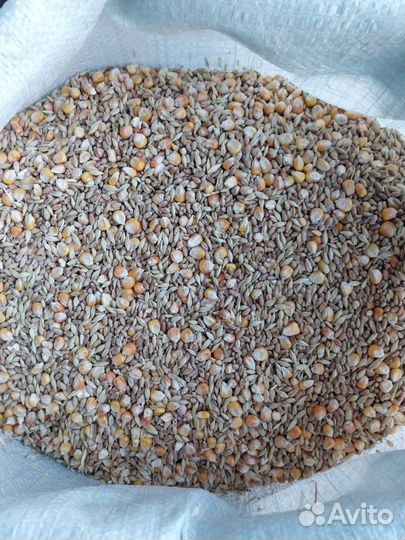 Корма для сельскохозяйственных животных