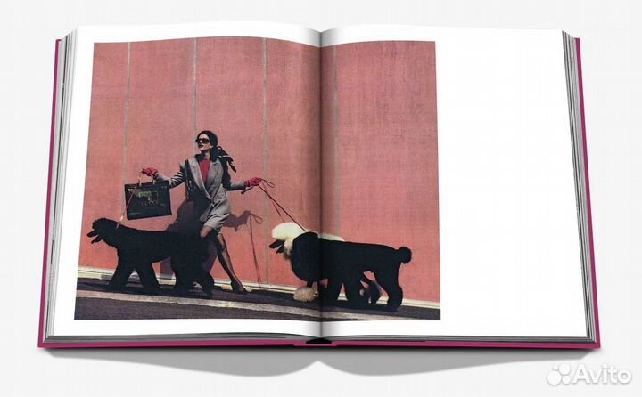 Assouline chic dogs