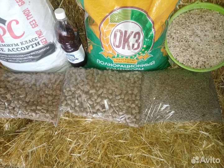 Сухой Корм для Собак Каша для Собак