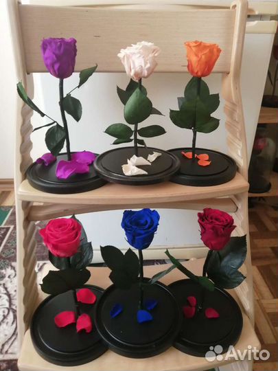 Роза в колбе в ассортименте