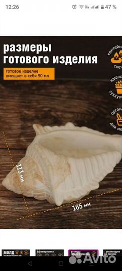 Раскраска из гипса,ракушка