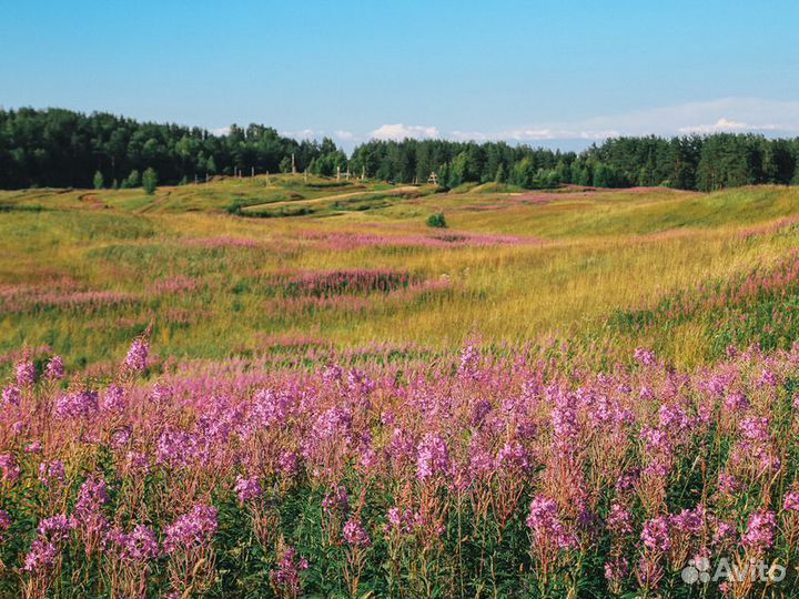 Экскурсия — Санкт-Петербург — Просторы Колтушских