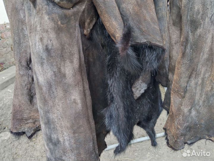 Шкурка нутрии