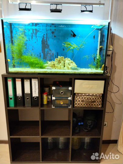 Аквариум