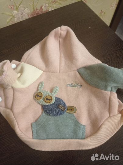 Одежда для маленьких собак