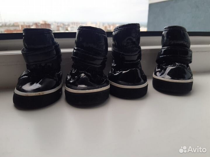 Обувь для собак