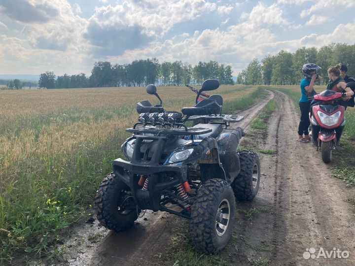 Квадроцикл grizzly 250