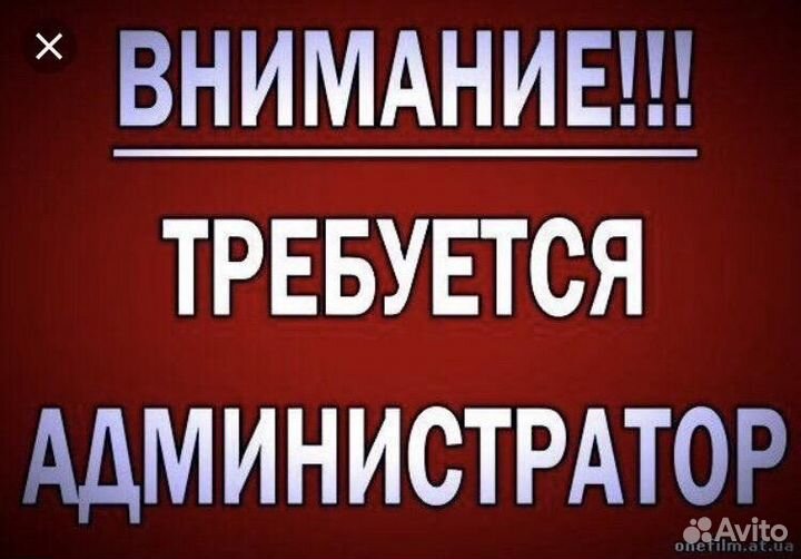 Администратор супермаркета в сосновом бору