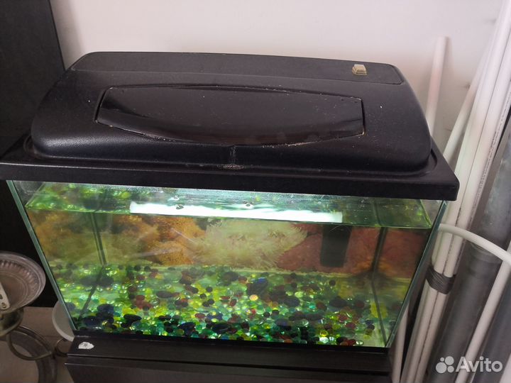 Аквариум бу