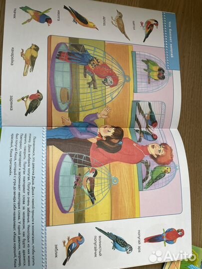 Школа семи гномов