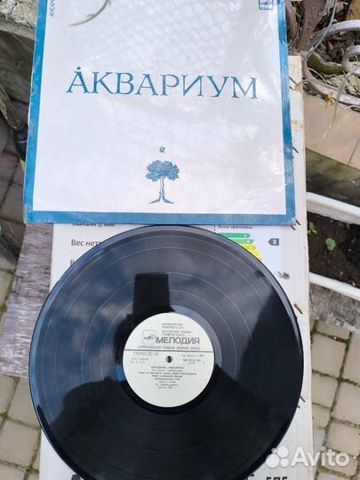 Виниловые пластинки