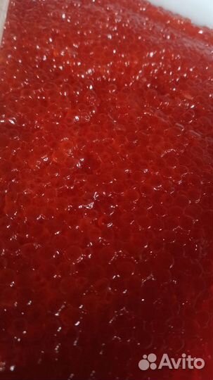 Икра красная оптом и в розницу