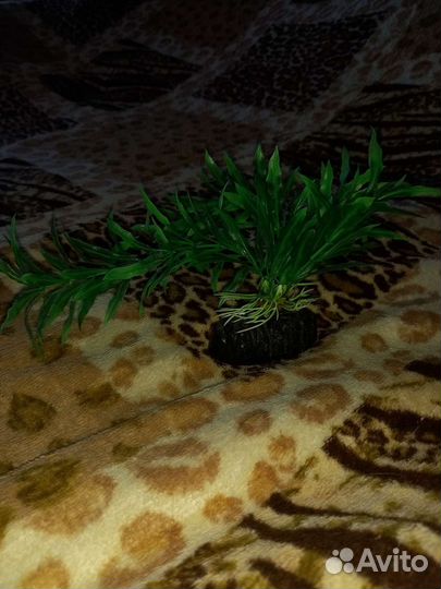 Искусственные растения для аквариума