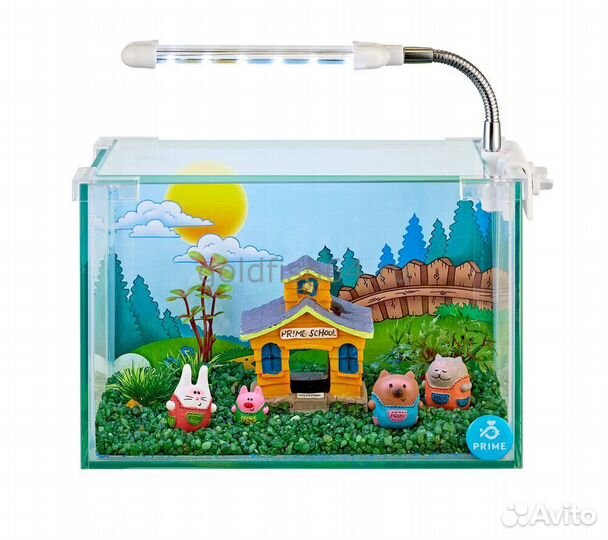 Аквариум для рыбки петушка