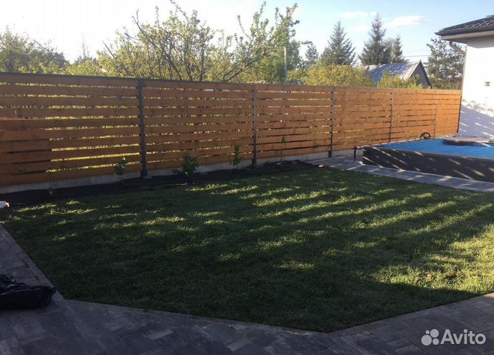 Рулонный газон