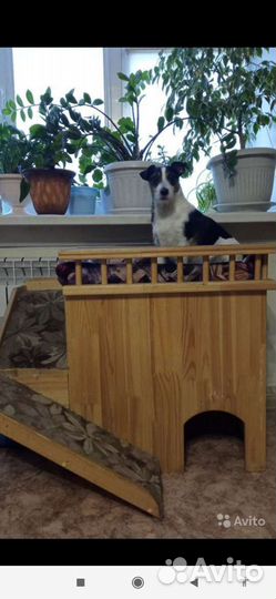 Дом с лежанкой