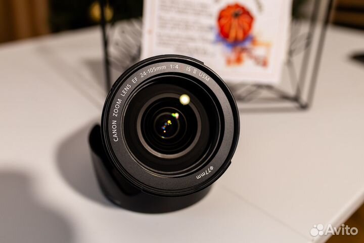 Canon EF 24 105mm f 4L IS II USM