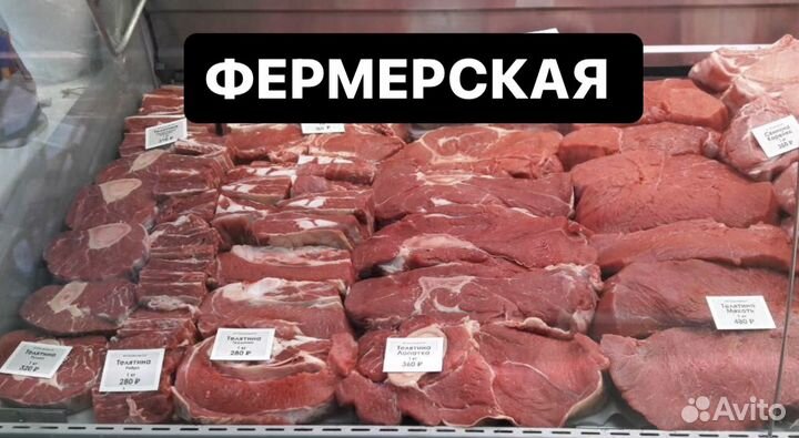 Мясо телятина