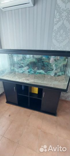 Аквариум