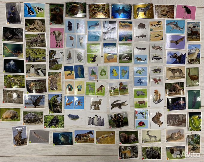 Наклейки для журнала «зоопланета» панини