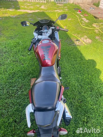 Racer skyway 250