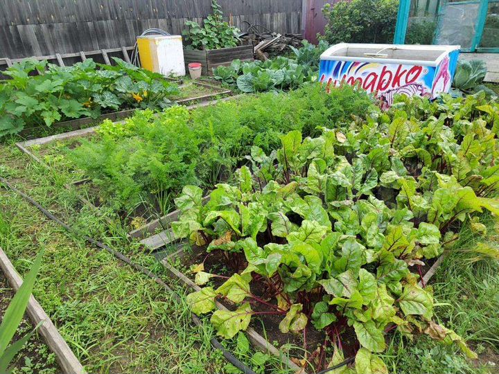 Дача 25 м² на участке 4 сот.